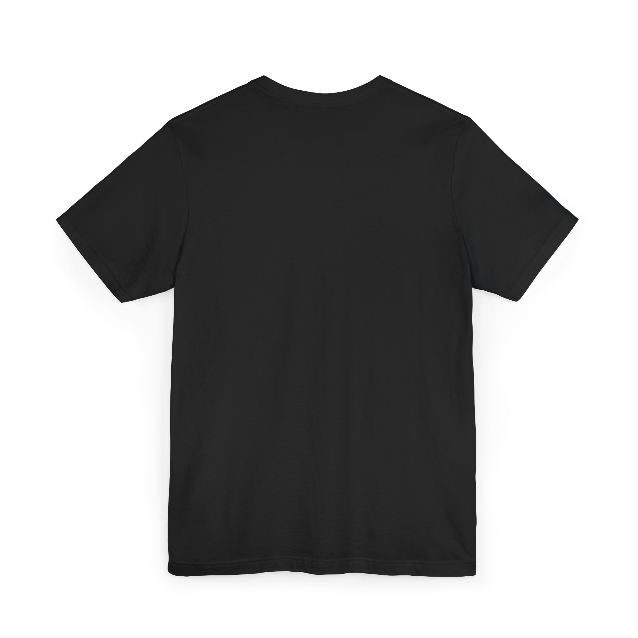 Pinckney.cc Commonwealth Campus Farm T-Shirt - Image 2