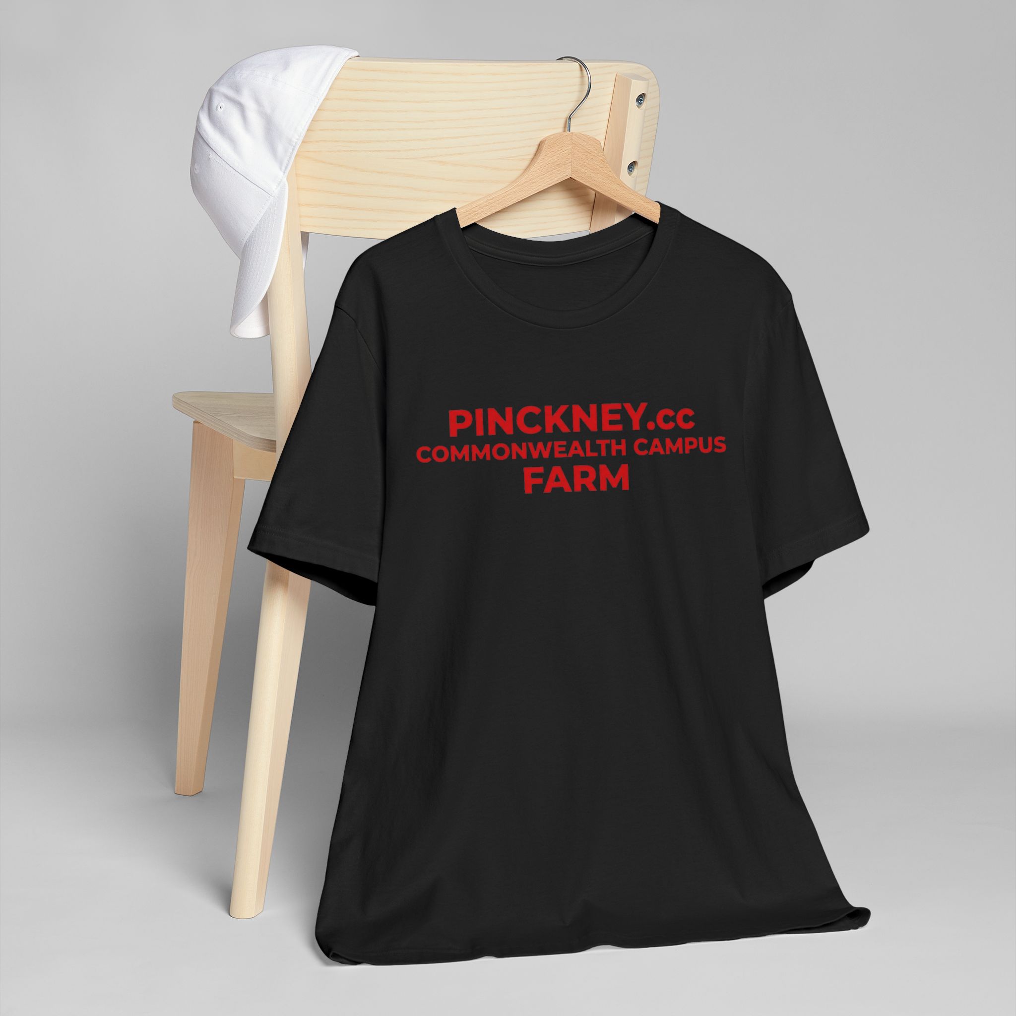 Pinckney.cc Commonwealth Campus Farm T-Shirt - Image 3